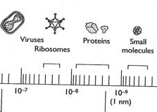 Nature is being disturbed by microwaves