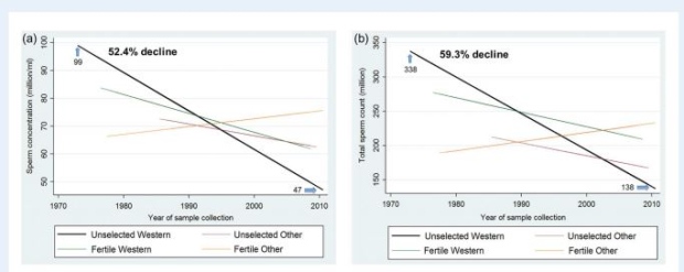 Chart showing sperm count decline 1973 to 2011